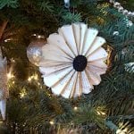 Fanned bk pg. ornament