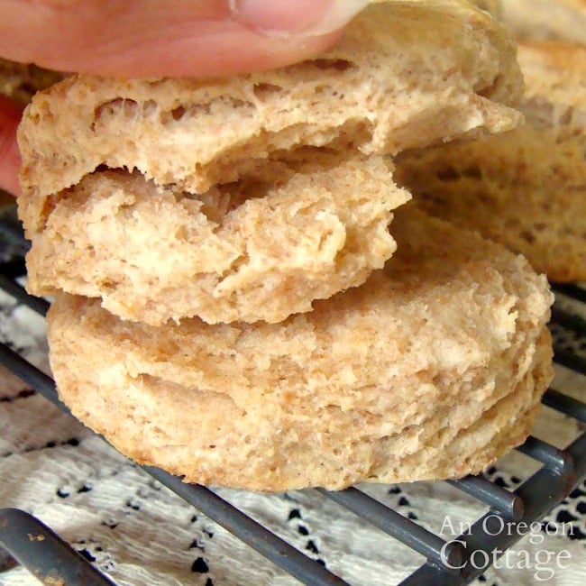 whole wheat flaky biscuit layers