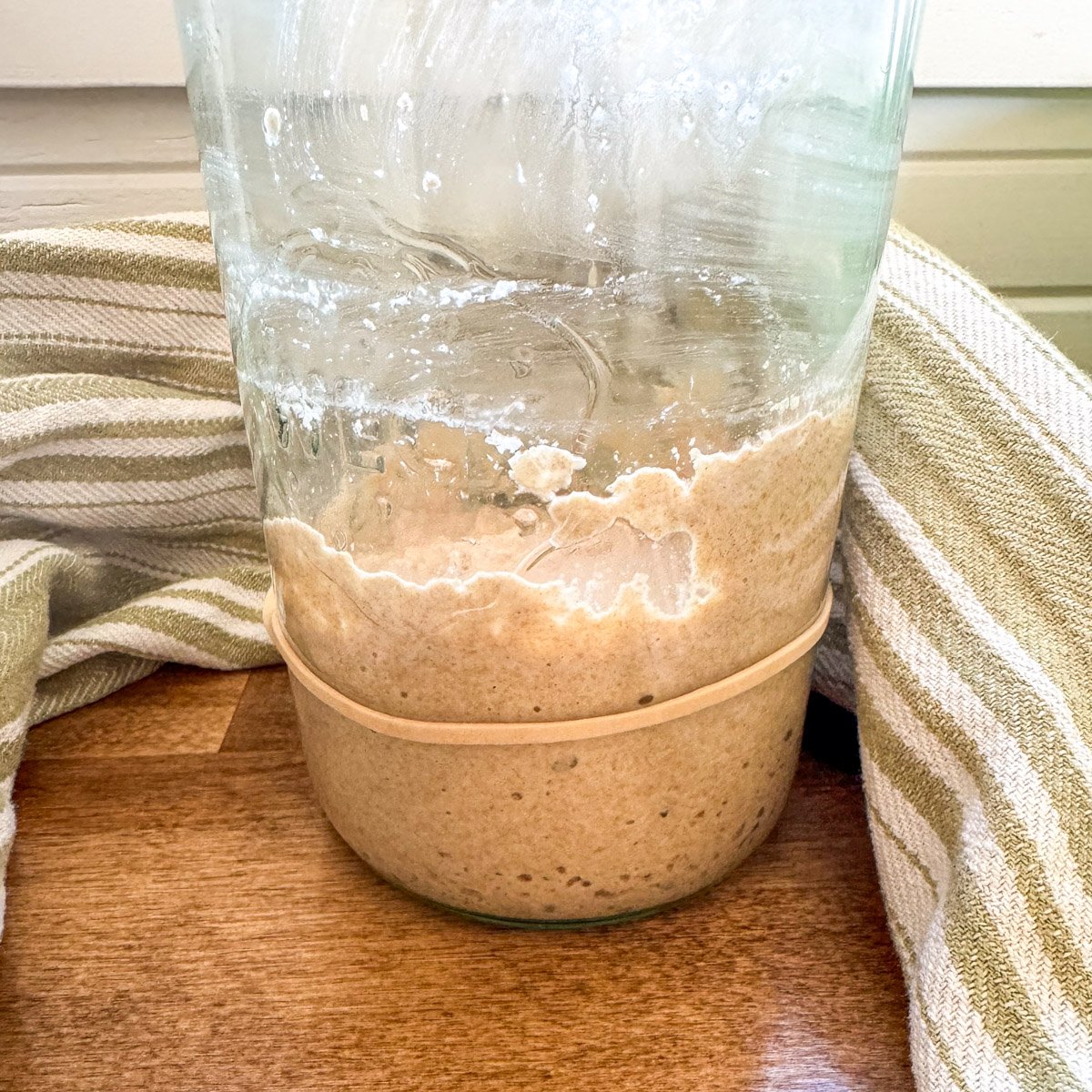 fallen sourdough starter in jar