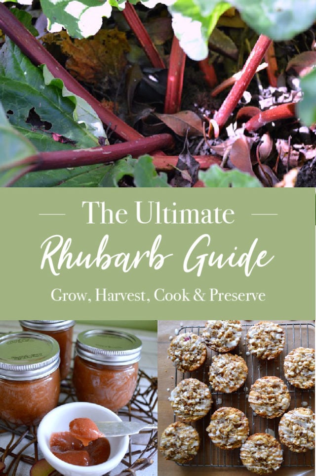 The Ultimate Rhubarb Guide Grow, Harvest, Cook & Preserve An Oregon