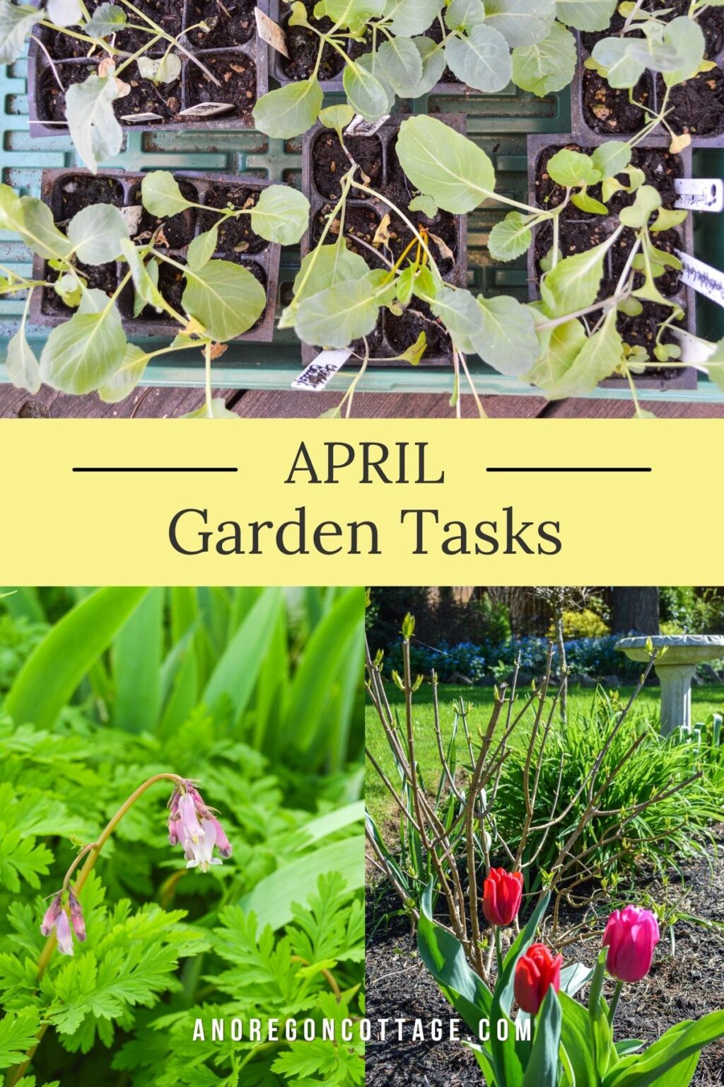 April Tips April Garden Chores & Tasks (PNW & Similar Zones) - An Oregon Cottage