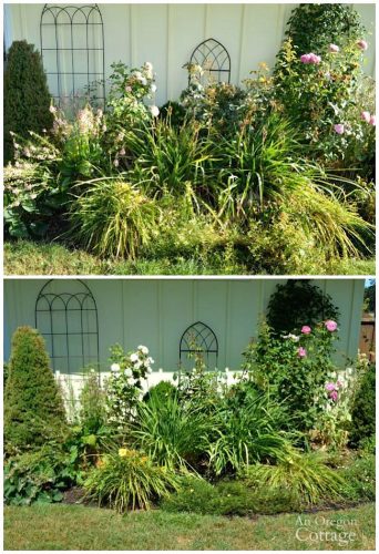 3 Easy Ways to Add Curb Appeal in Late Summer - An Oregon Cottage