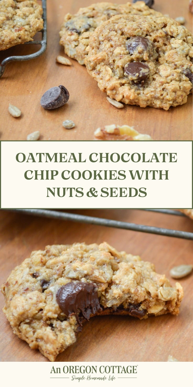 oatmeal chocolate chip cookies Pinterest pin image