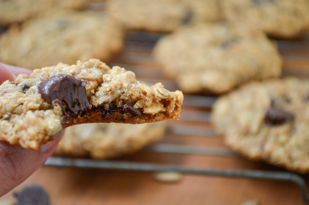 holding oatmeal chocolate chip cookie with bite taken