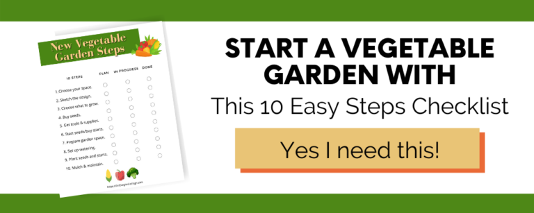 How to Start Gardening - 10 Simple Steps To A Vegetable Garden - An ...