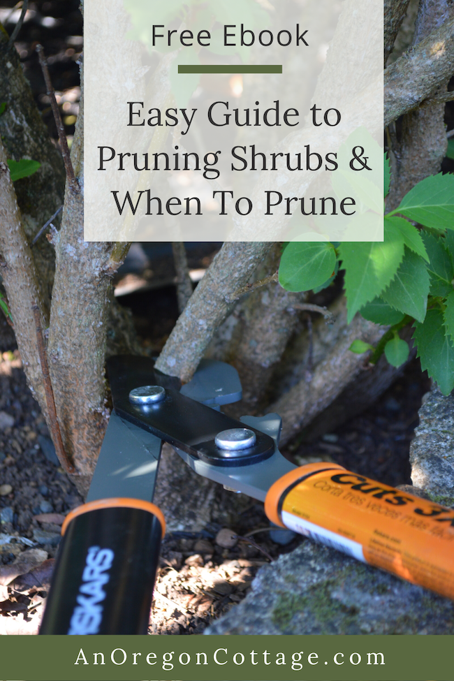 How To Prune Shrubs With Confidence (+ Free Ebook) - An Oregon Cottage