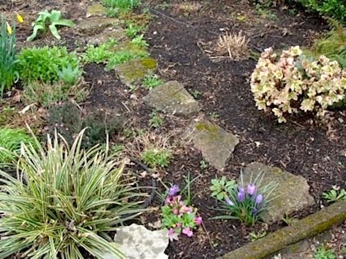 stepping stones in garden bed with weed control