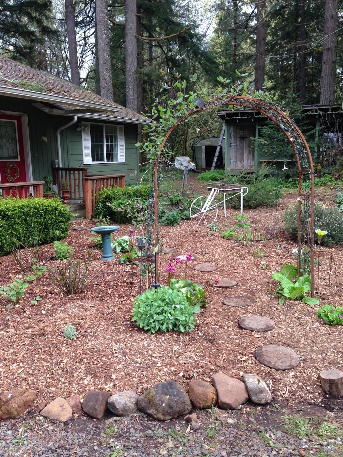 natural weed control with wood chips