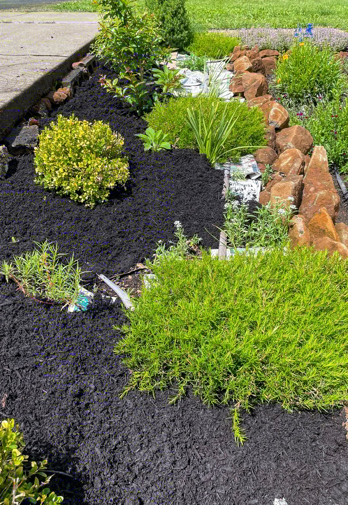 layering paper and mulch in garden bed