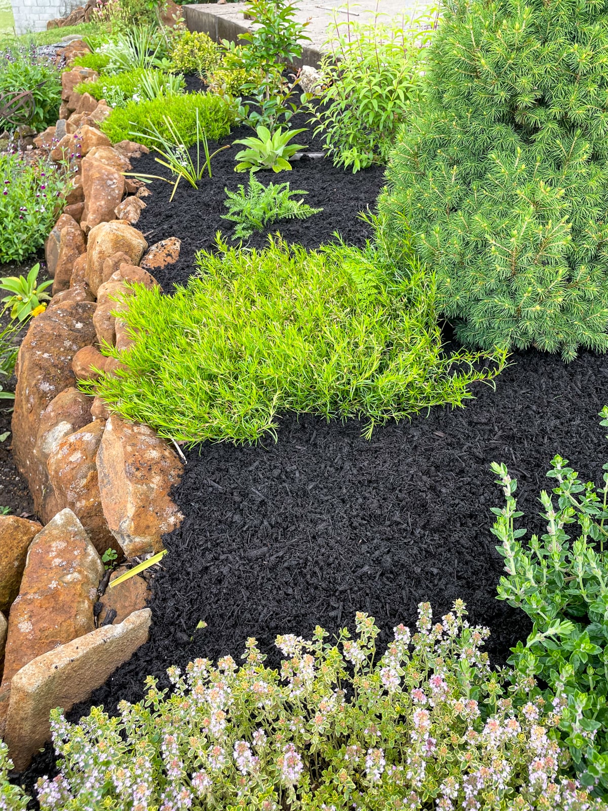fully paper and mulched garden bed for weed control