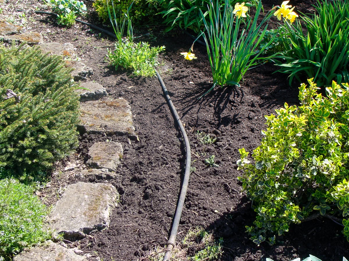 half mulched garden bed