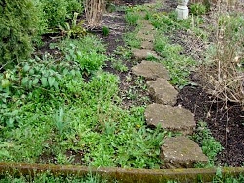 stepping stones in garden bed without weed control