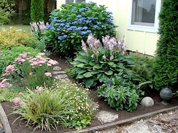 papered-mulched garden bed for weed control