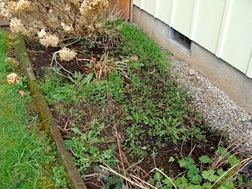 weeding garden bed