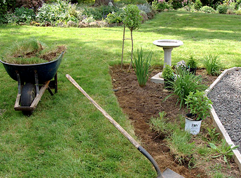 edging grass from garden bed