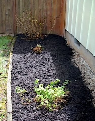 finished garden bed with paper and mulch
