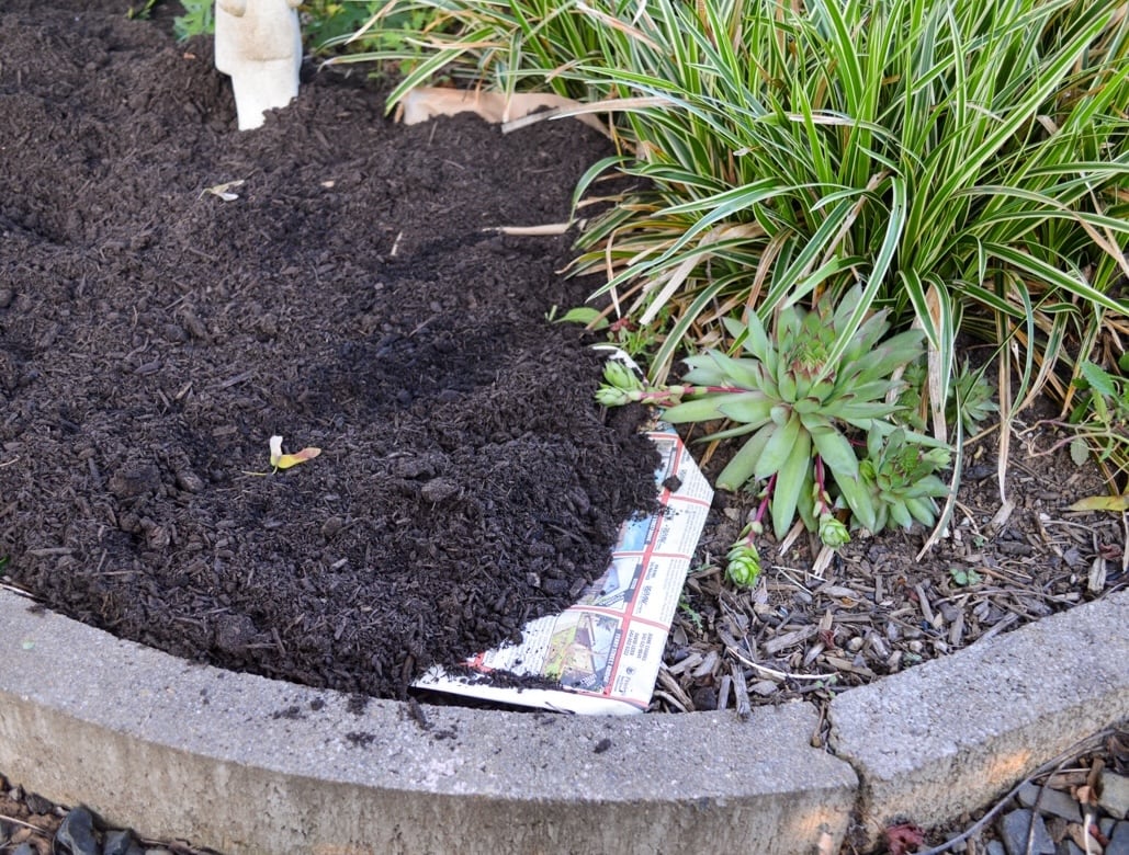 layering compost over paper in garden