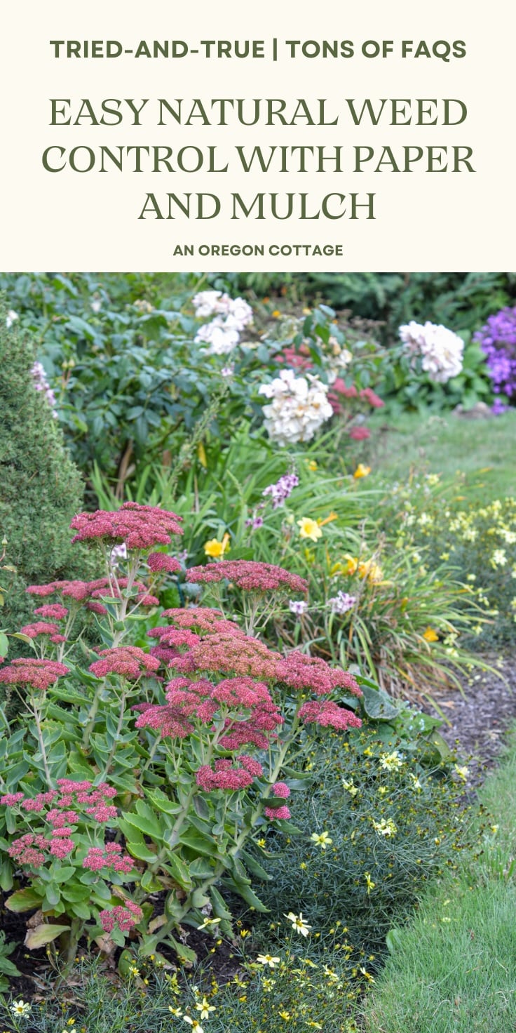 natural weed control Pinterest pin