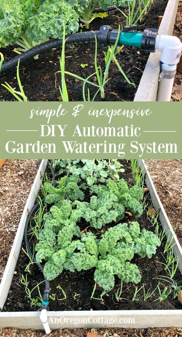 DIY Garden Watering System - Easy & Inexpensive (+ Printable Supplies ...