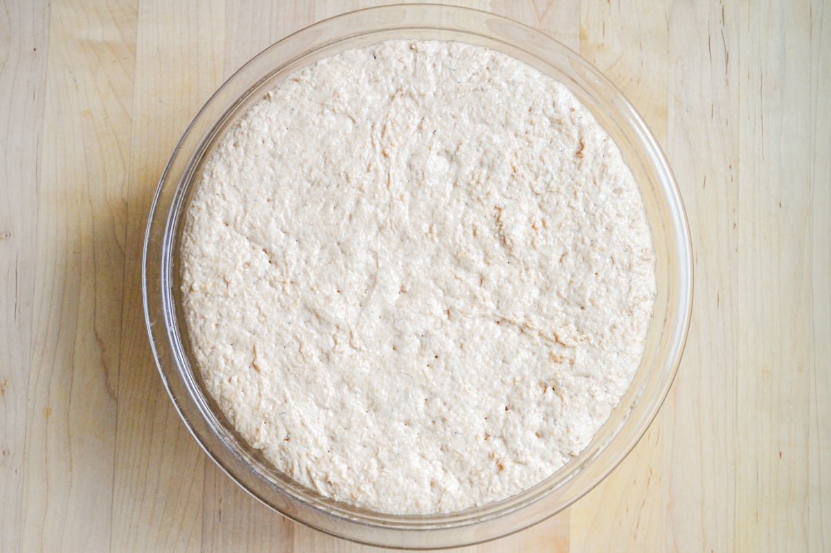sourdough english muffins risen sponge