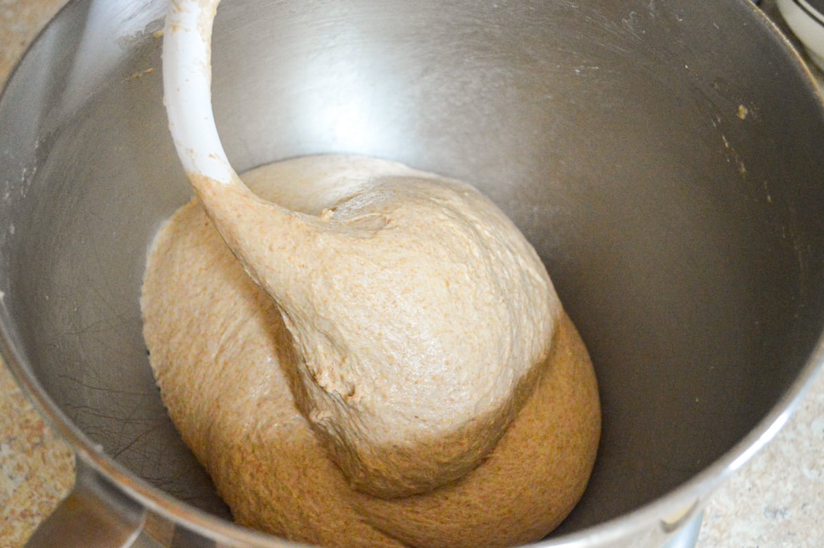 kneading english muffin dough in mixer