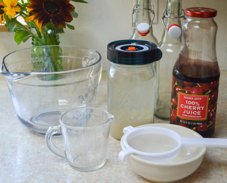 Water Kefir Recipe - Easy Step-by-Step Method - An Oregon Cottage