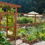 wood chip garden paths Pinterest image