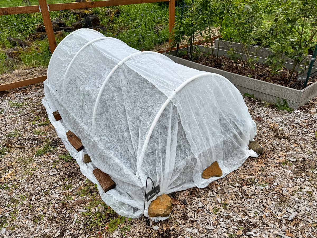covered raised bed in spring garden