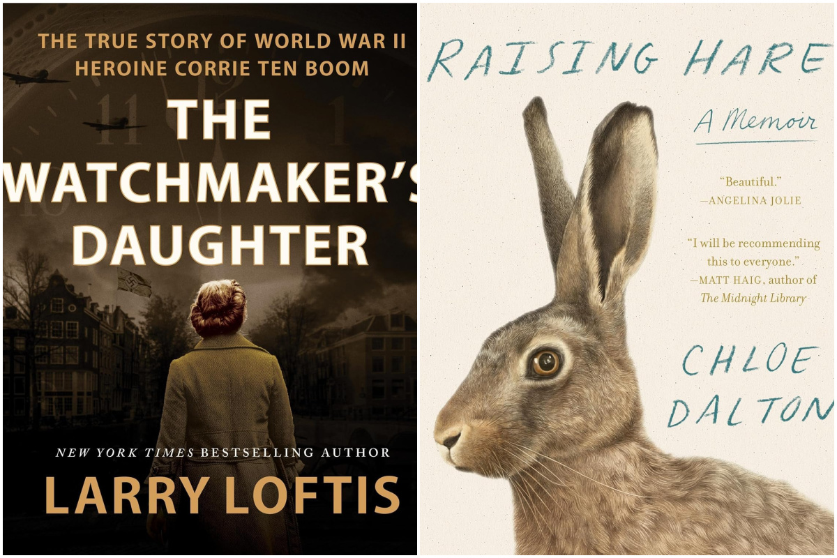 covers of two books read in June