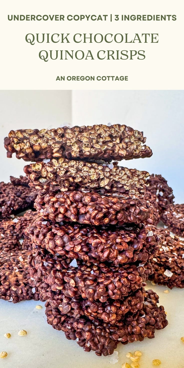 chocolate quinoa crisps Pinterest pin image