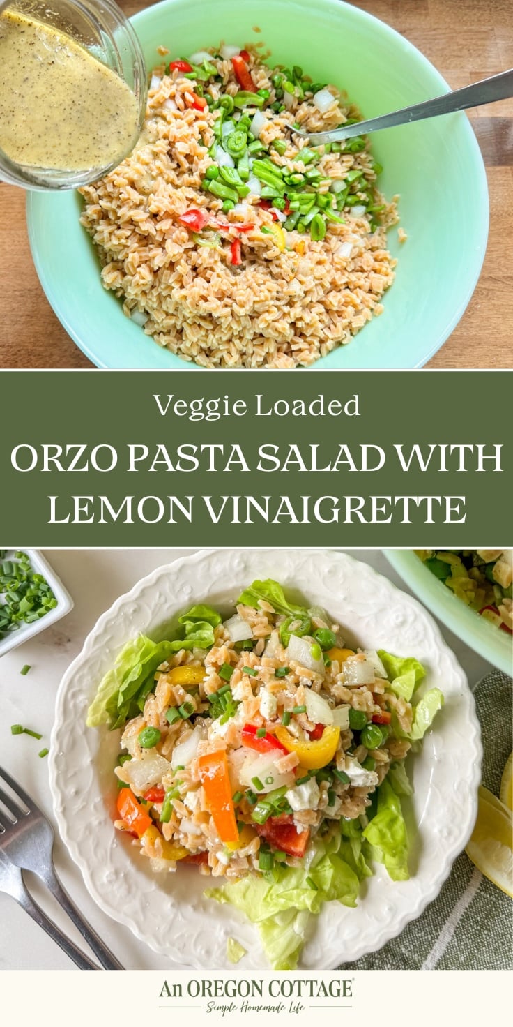orzo pasta salad Pinterest pin