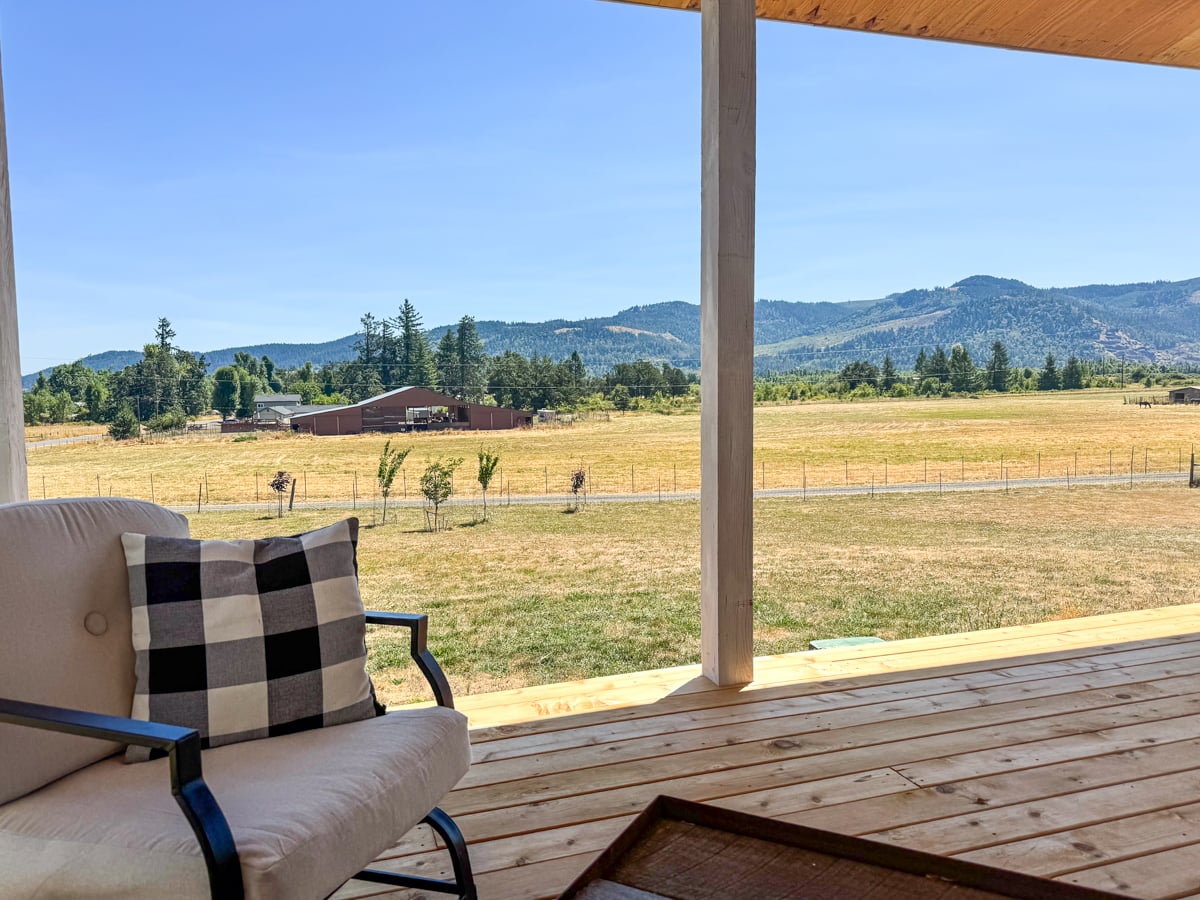 porch view from couch