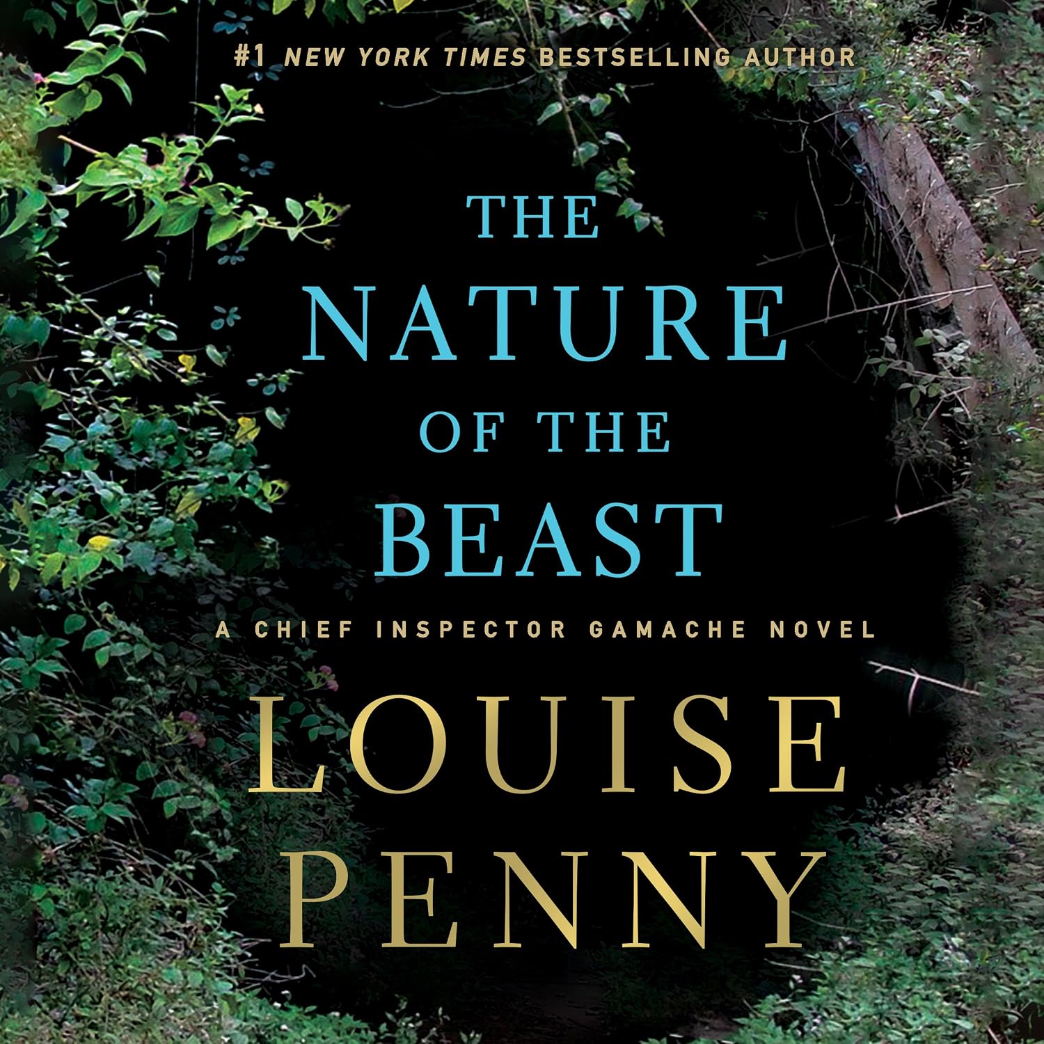 cover of The Nature of The Beast