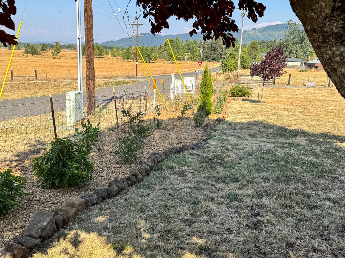 finished wood-chip covered road hedge